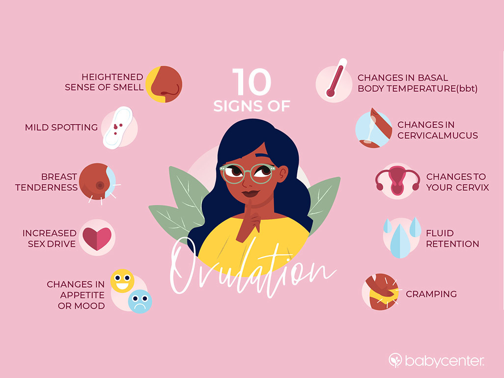 graphic explaining 10 signs of ovulation