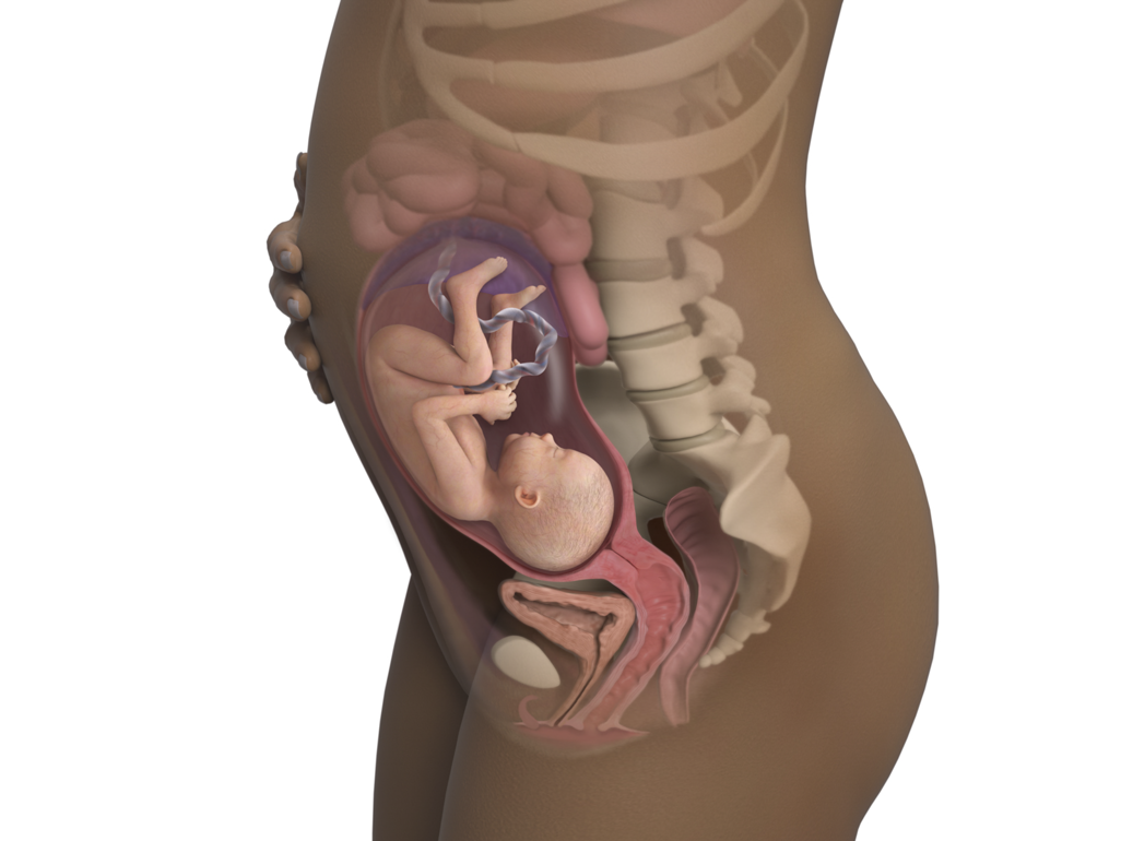 baby in head down position at 28 weeks