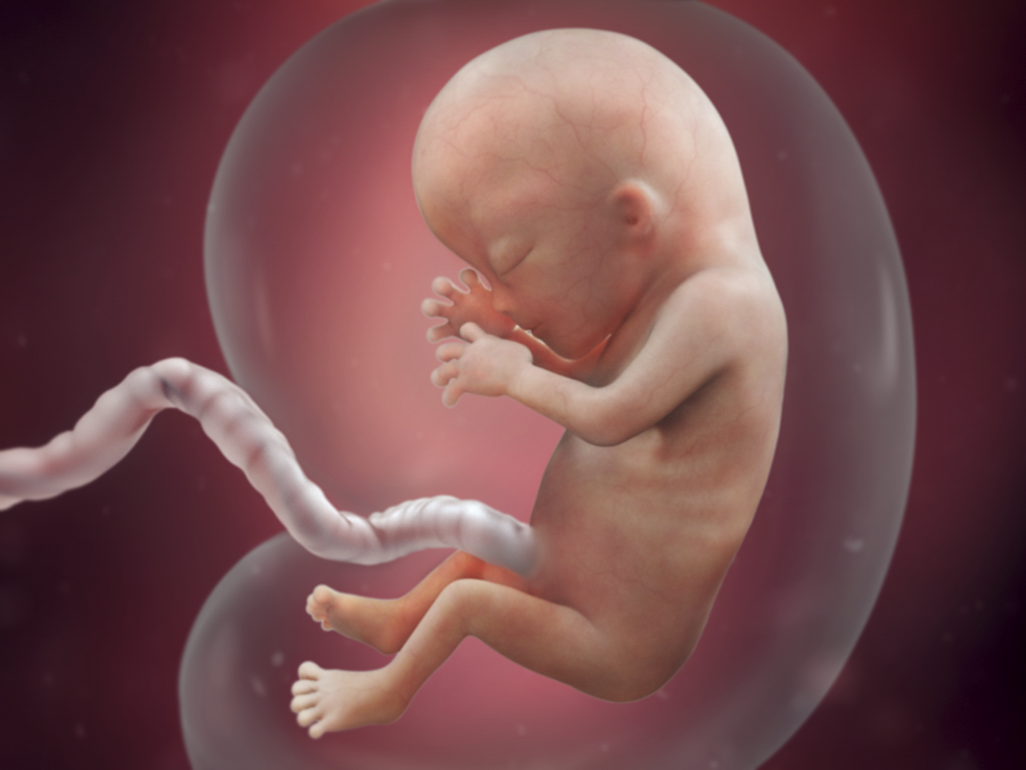 baby in amniotic fluid