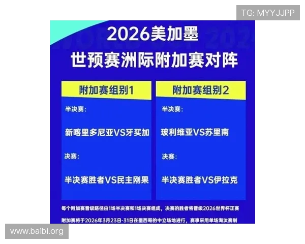 2026年世界杯参赛球队名单全景，了解各大洲代表队的最新动态与实力对比